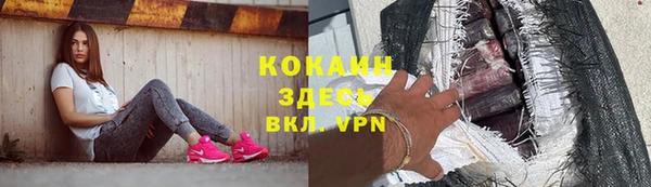 кокс Гусев