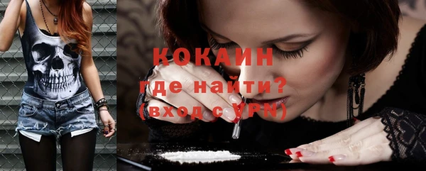 кокс Гусев