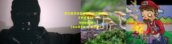 кокс Гусев