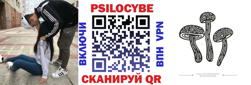 Псилоцибиновые грибы Psilocybine cubensis  Купить закладки  Медвежьегорск 